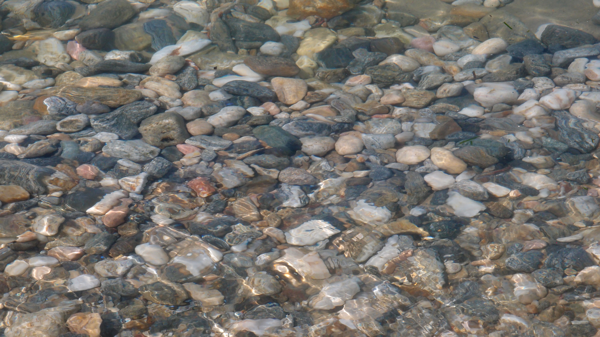 2021-09-17 03 Parasporos Beach Club (Zikaden) (Fieldrecording, Foto, Video)